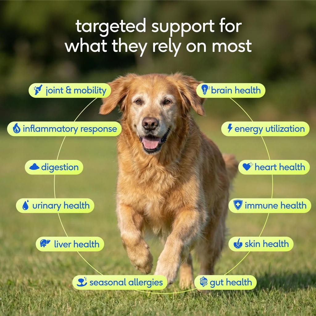 native-pet-senior-daily-dog-vitamins-sup-2.jpg