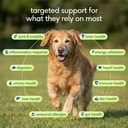 native-pet-senior-daily-dog-vitamins-sup-2.jpg