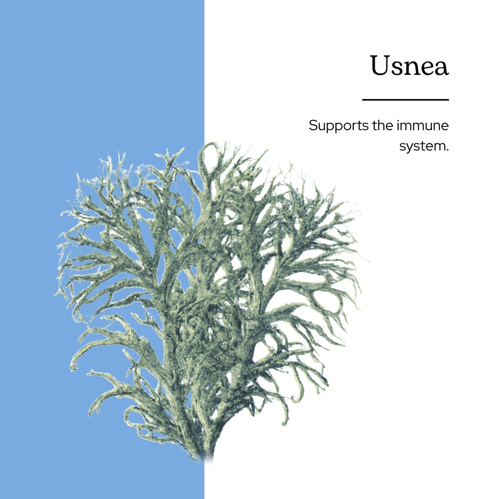 eclectic-institute-usnea-o-2-ounce-2.jpg