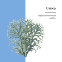 eclectic-institute-usnea-o-2-ounce-2.jpg
