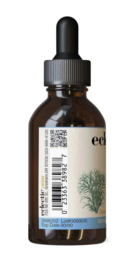 eclectic-institute-usnea-o-2-ounce-3.jpg