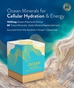 manna-vitality-ocean-1000mg-ocean-plasma-2.jpg