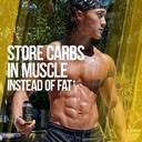 alpha-lion-gains-candy-supplement-pills--3.jpg