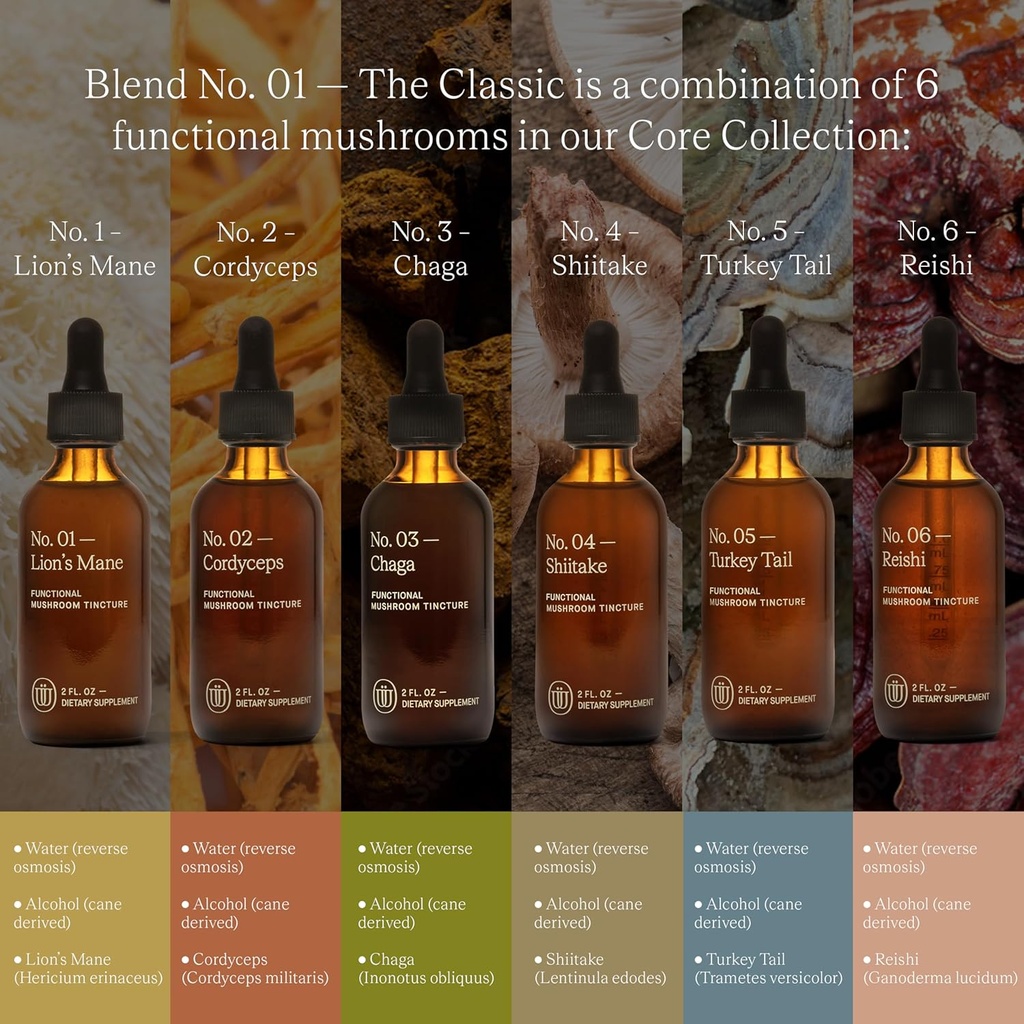 blend-no1-6-mushroom-blend-tincture-reis-3.jpg