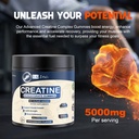 s-g-creatine-monohydrate-gummies-for-men-6.jpg