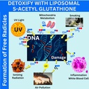 nikoni-liposomal-s-acetyl-l-glutathione--6.jpg