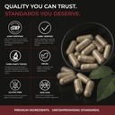 testosterone-optimization-formula-ashwag-6.jpg