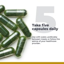 premier-research-labs-greens-capsules-su-5.jpg
