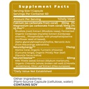 premier-research-labs-cereven-herbal-bra-6.jpg