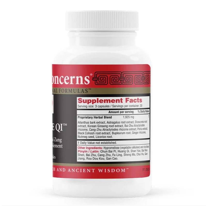 health-concerns-source-qi-qi-energy-dige-2.jpg