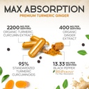 turmeric-curcumin-supplement-2200mg-curc-6.jpg
