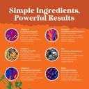 potent-daily-multivitamin-gummies-for-ad-3.jpg