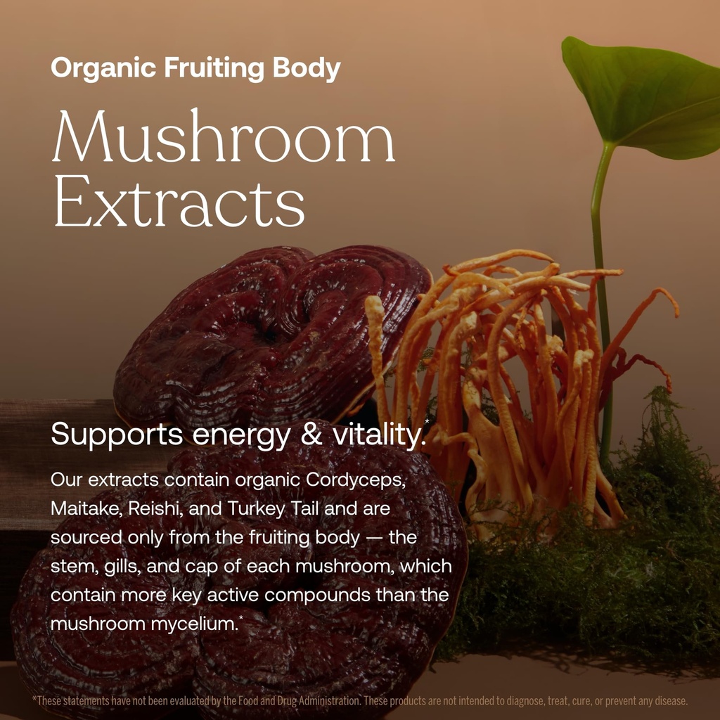true-grace-one-daily-women-s-multivitami-4.jpg