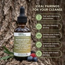 parasite-cleanse-2oz-wormwood-black-waln-2.jpg
