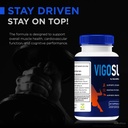 2-pack-vigosurge-pills-official-vigo-sur-5.jpg