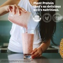 kos-vegan-protein-powder-unflavored-unsw-2.jpg
