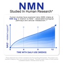 nmn-supplement-nmn-complex-120-veggie-ca-5.jpg