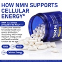 nmn-supplement-nmn-complex-120-veggie-ca-4.jpg