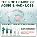 nad-supplement-1585-mg-true-nad-resverat-3.jpg