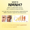nad-supplement-240-softgels-liposomal-nm-5.jpg
