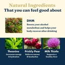 last-call-drinking-wellness-aid-dhm-base-5.jpg