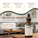 pulmoria-wild-mullein-lung-drops-herbal--4.jpg