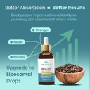 4-in-1-mullein-drops-for-lungs-gut-healt-6.jpg
