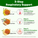 vivcmin-mullein-drops-for-lungs-120-serv-6.jpg