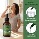 nutrapure-mullein-extract-drops-for-lung-5.jpg