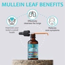 lung-defense-herbal-extract-8-in-1-blend-2.jpg
