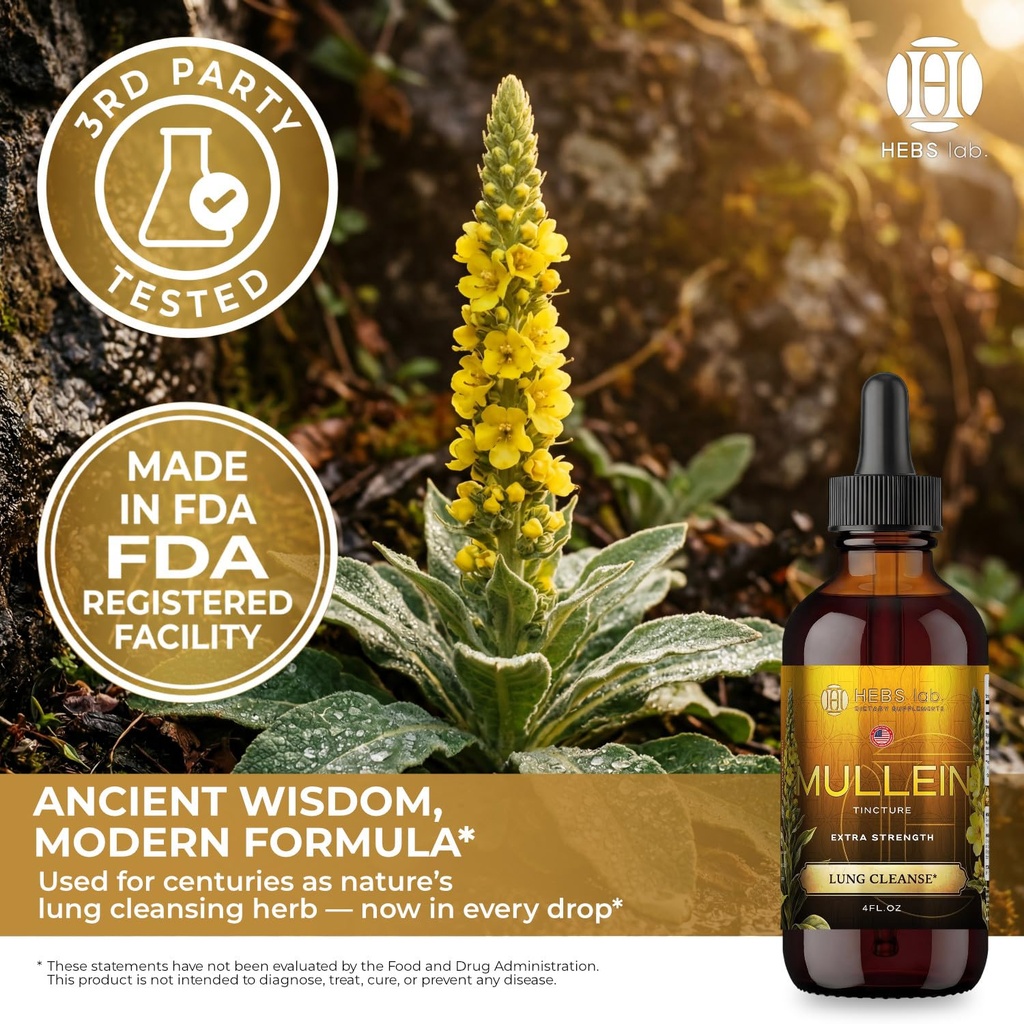 mullein-leaf-extract-for-lung-cleanse-an-2.jpg