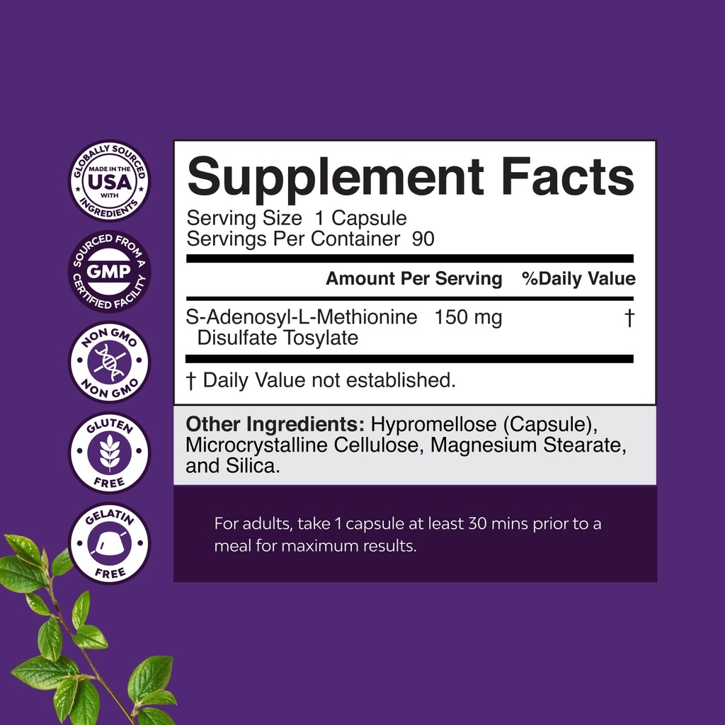 bundle-of-nootropic-memory-supplement-fo-3.jpg