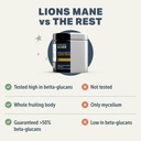 four-leaf-rover-lion-s-mane-mushrooms-fo-4.jpg