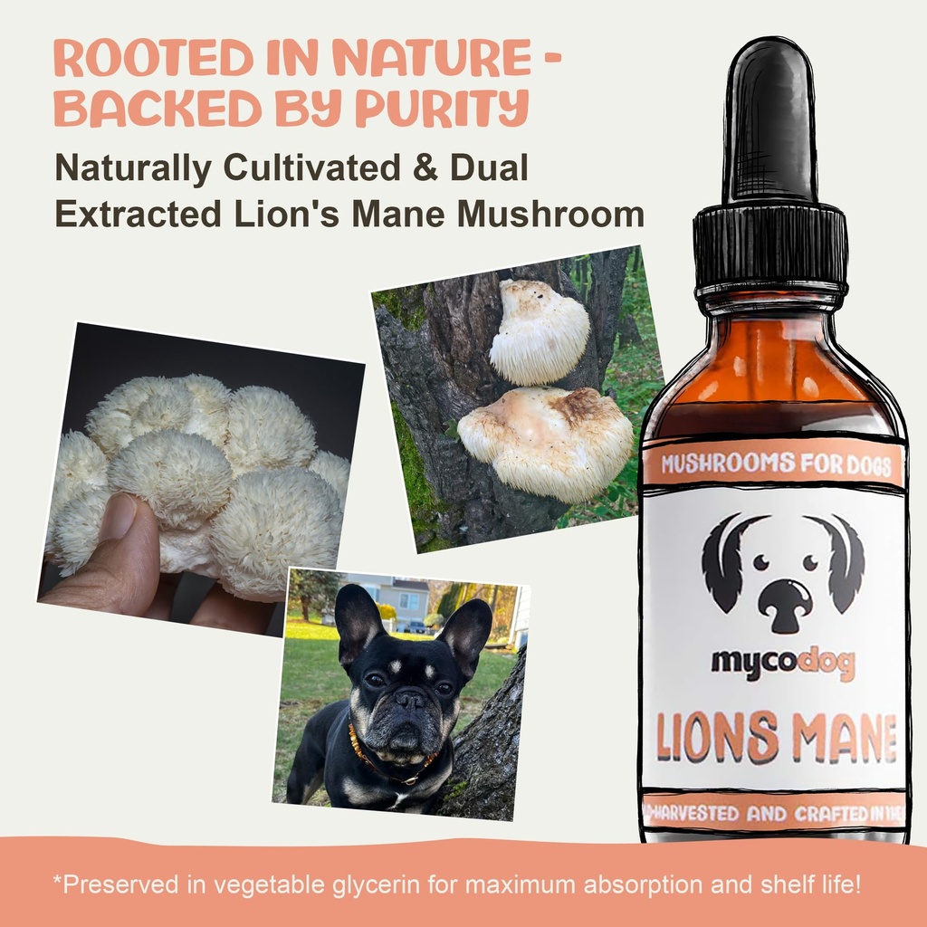mycodog-lions-mane-mushroom-supplement-f-2.jpg