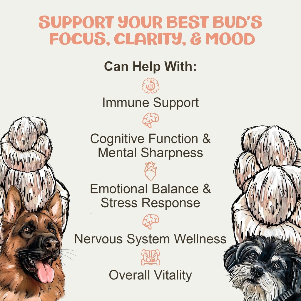 mycodog-lions-mane-mushroom-supplement-f-5.jpg