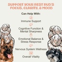 mycodog-lions-mane-mushroom-supplement-f-5.jpg