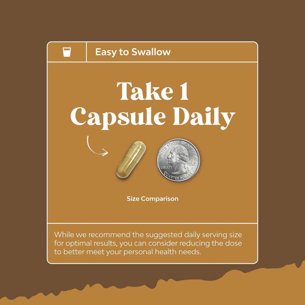 advanced-lion-s-mane-mushroom-supplement-5.jpg