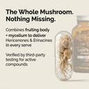 forest-super-foods-lion-s-mane-mushroom--3.jpg