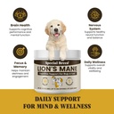 organic-lion-s-mane-for-dogs-cats-cognit-4.jpg