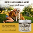 organic-lion-s-mane-for-dogs-cats-cognit-3.jpg