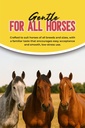 horse-paste-gel-1-87-apple-flavored-oral-4.jpg