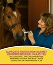 horse-paste-gel-1-87-apple-flavored-oral-3.jpg