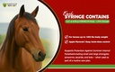 ivermectin-horse-paste-1-87-apple-flavor-2.jpg