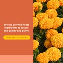 natural-factors-lutein-20mg-natural-anti-5.jpg