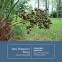 eclectic-institute-fresh-freeze-dried-sa-3.jpg