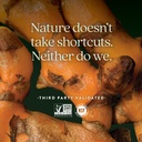 new-chapter-turmeric-supplement-sleep-ai-5.jpg