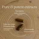 new-chapter-turmeric-supplement-sleep-ai-3.jpg
