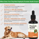 prostate-health-drops-for-dogs-relieves--4.jpg