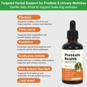 prostate-health-drops-for-dogs-relieves--3.jpg