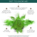 teaveli-organic-barley-grass-juice-powde-4.jpg